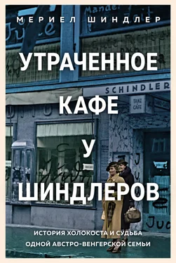 Мериел Шиндлер Утраченное кафе «У Шиндлеров». История Холокоста и судьба одной австро-венгерской семьи обложка книги