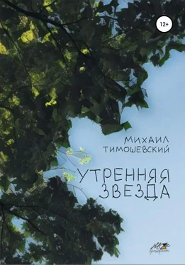 Михаил Тимошевский Утренняя звезда обложка книги