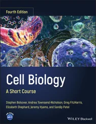 Stephen R. Bolsover - Cell Biology