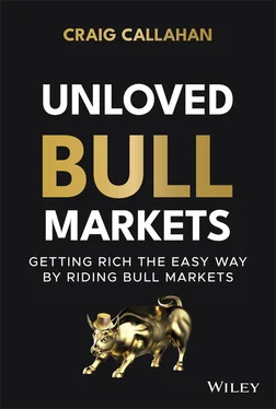 Craig Callahan Unloved Bull Markets обложка книги