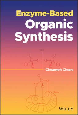 Cheanyeh Cheng Enzyme-Based Organic Synthesis обложка книги