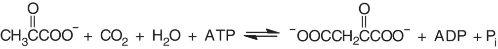 By international agreement the catalytic reaction is assigned and identified - фото 18