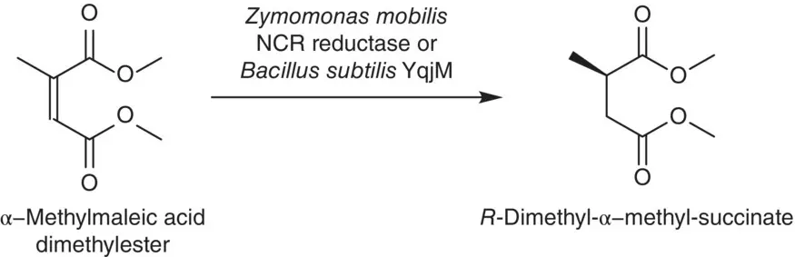 Scheme 241 Asymmetric reduction of αmethylmaleic acid dimethylester with Z - фото 61
