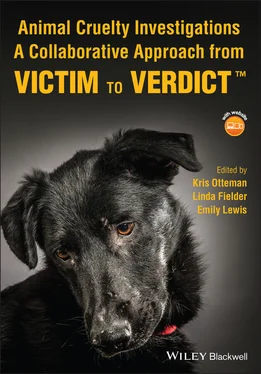 Неизвестный Автор Animal Cruelty Investigations обложка книги