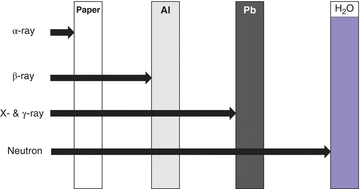 Figure 12 Interaction of typical ionizing radiations with matter αrays He - фото 3