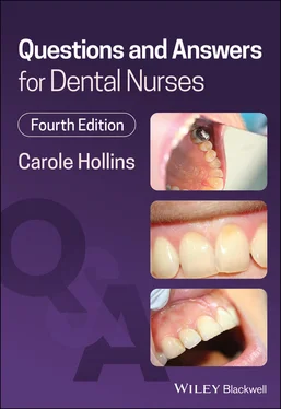 Carole Hollins Questions and Answers for Dental Nurses обложка книги