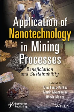 Неизвестный Автор Application of Nanotechnology in Mining Processes обложка книги