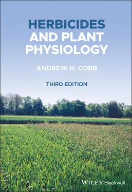Andrew H. Cobb Herbicides and Plant Physiology обложка книги