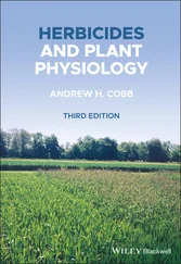 Andrew H. Cobb - Herbicides and Plant Physiology