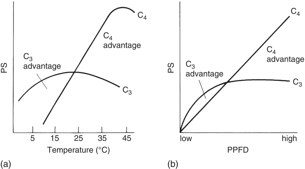 Figure 14 Expected rates of photosynthesis PS by C 3and C 4plants at a - фото 5