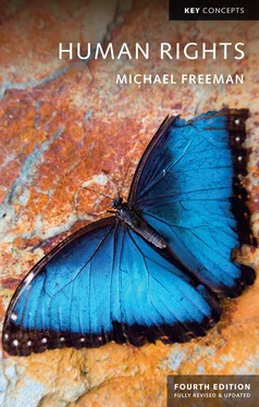 Michael Freeman Human Rights обложка книги