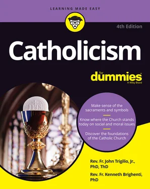 Rev. Kenneth Brighenti Catholicism For Dummies обложка книги