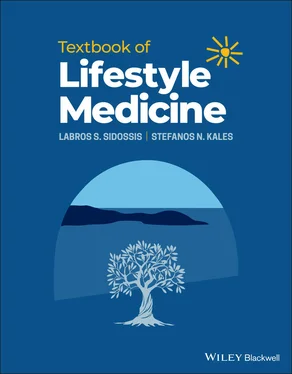 Labros S. Sidossis Textbook of Lifestyle Medicine обложка книги