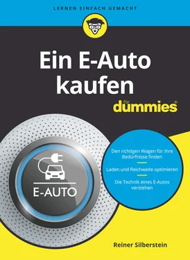 Reiner Silberstein Ein E-Auto kaufen für Dummies обложка книги