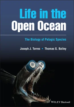 Joseph J. Torres Life in the Open Ocean обложка книги
