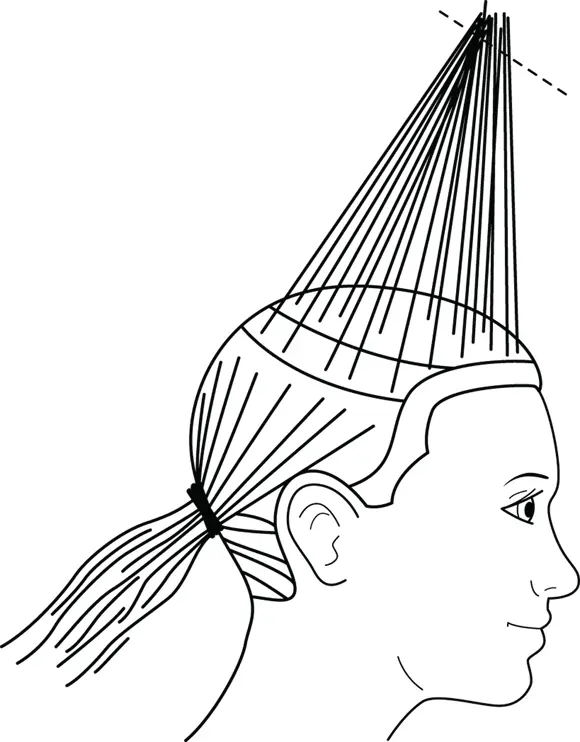 John Wiley Sons Inc Illustration by Rashell Smith FIGURE 58A stable or - фото 92