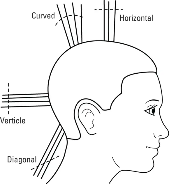 John Wiley Sons Inc Illustration by Rashell Smith FIGURE 55Haircutting - фото 86
