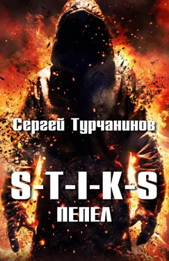 Сергей Турчанинов S-T-I-K-S: Пепел обложка книги