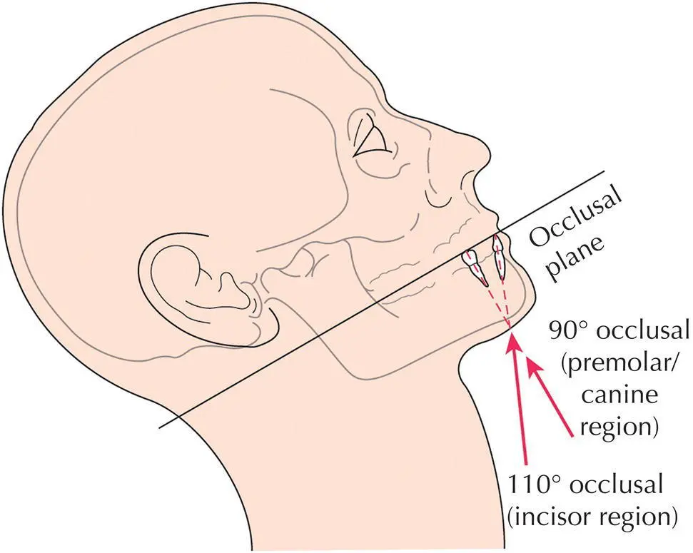 Fig 41 The angle of the central ray in a true occlusal view of the lower jaw - фото 39