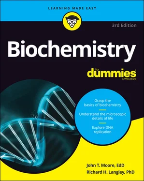 John T. Moore Biochemistry For Dummies обложка книги