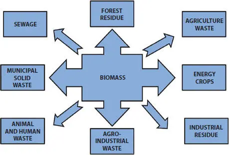 Figure 32 Different sources of biomass 331 Wood and Woody Biomass The - фото 13