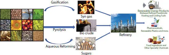 Figure 31 Different methods for biomass transformation to fuels and - фото 12