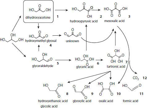 Scheme 45 Plausible reaction plan for the production of oxygenated derivatives - фото 37