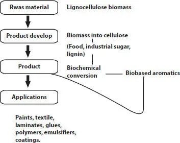 Figure 21 Schematical diagram of structure of supply chain biobased aromatics - фото 6