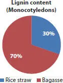 Figure 23c Presence of Lignin in different plants Monocotyledons 23 - фото 10