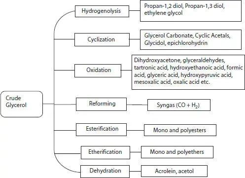 Figure 45 Roadmap of selected glycerol valorization reactions Biomassderived - фото 18