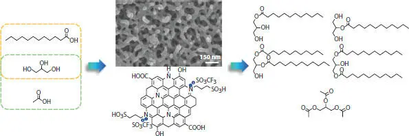 Figure 47 Selective glycerol esterification with acetic acid and lauric acid - фото 24