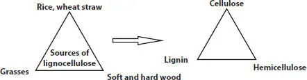 Figure 22 Sources of lignocellulose In the cell wall lignin is an essential - фото 7