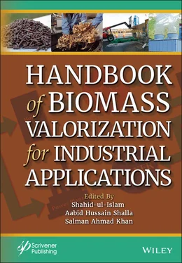 Неизвестный Автор Handbook of Biomass Valorization for Industrial Applications обложка книги