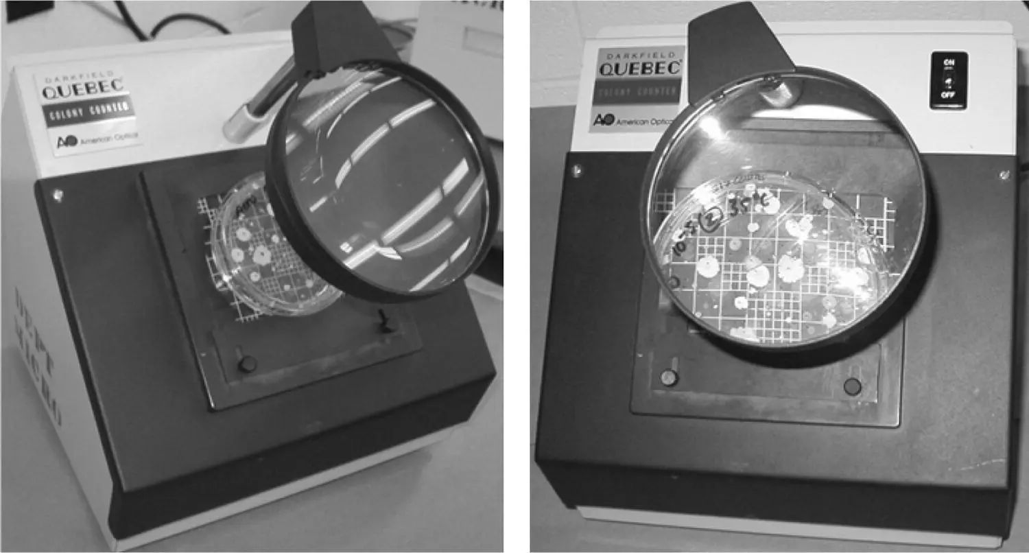 Figure 32 Darkfield Quebec colony counter with a Petri plate mounted for - фото 9