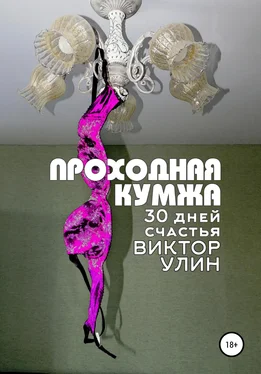 Виктор Улин Проходная кумжа обложка книги