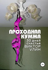 Виктор Улин - Проходная кумжа