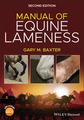 Gary M. Baxter - Manual of Equine Lameness