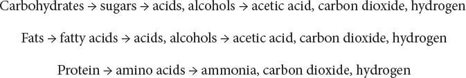Organic acids formed in the first stage of the waste treatment process are - фото 59