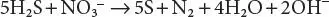 Complete denitrification vs complete hydrogen sulfide oxidation Partial - фото 84