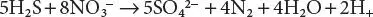 Partial denitrification vs complete hydrogen sulfide oxidation Partial - фото 85