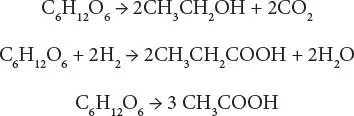 Whereas the production of volatile fatty acids VFAs is increased when the - фото 26