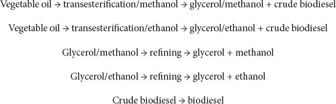 The process involves treatment of raw vegetable oils at low temperatures of 30 - фото 79