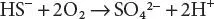 In summary two compounds can be produced sulfate and elemental sulfur and - фото 83
