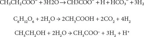 The acidproducing bacteria involved in the second step convert the - фото 5