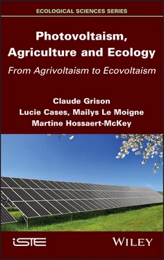 Martine Hossaert-McKey Photovoltaism, Agriculture and Ecology обложка книги