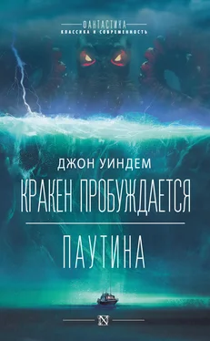 Джон Уиндем Кракен пробуждается. Паутина обложка книги