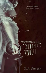 Ховард Лински - Исчезновение Элис Тил