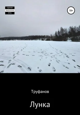 Труфанов Лунка обложка книги