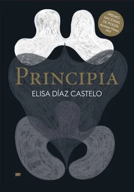 Elisa Díaz Castelo Principia обложка книги