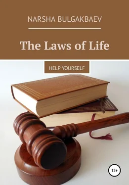 Narsha Bulgakbaev The Laws of Life обложка книги